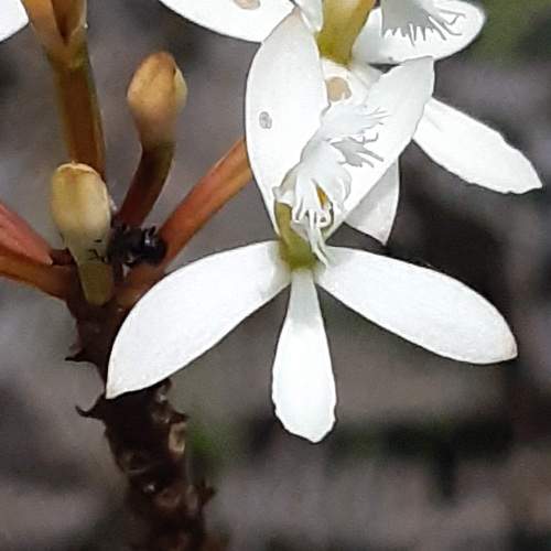 Photo #9775440