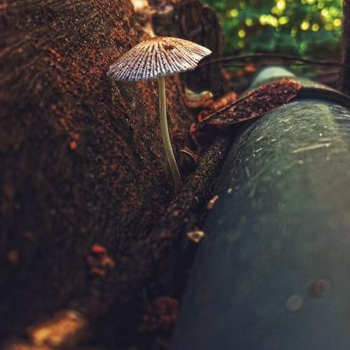 Photo #9775653