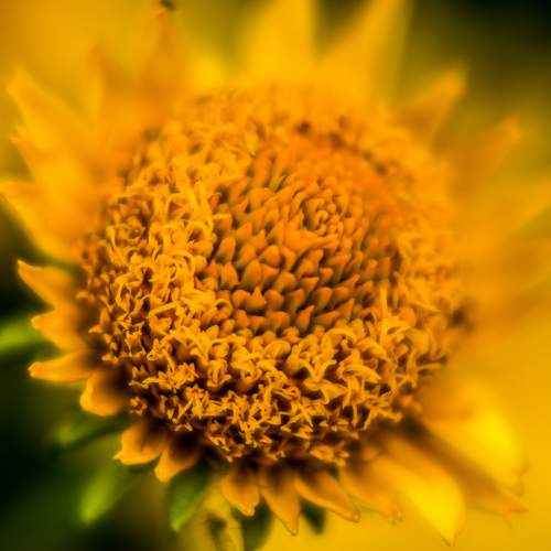 Photo #9776070
