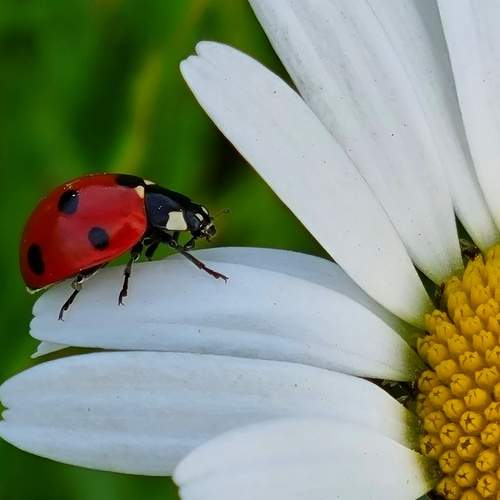 Photo #9776243