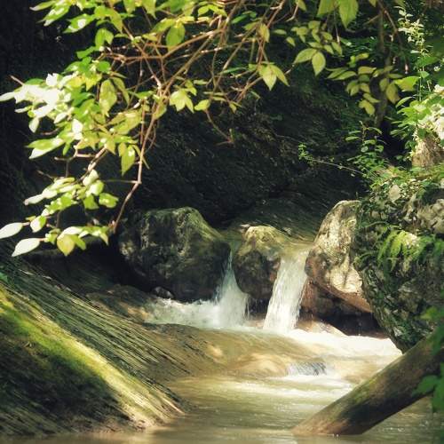 Photo #9776305