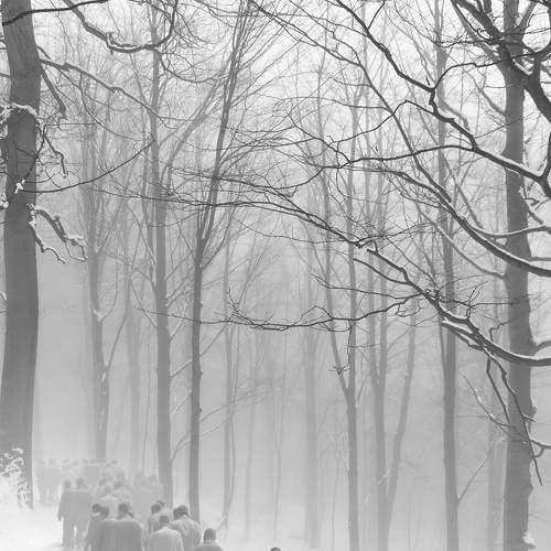Photo #9776316