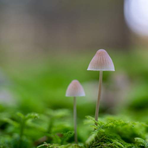 Photo #9776637