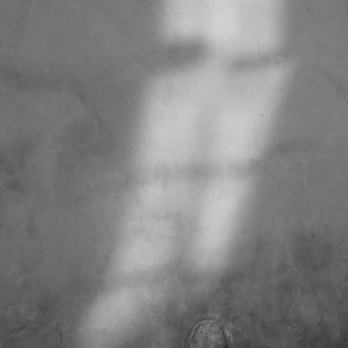 Photo #9776659