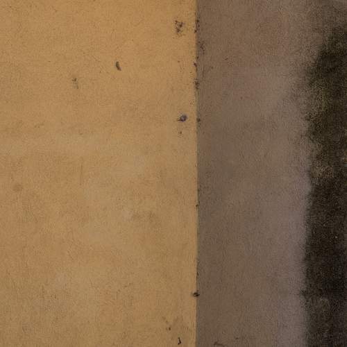 Photo #9776671