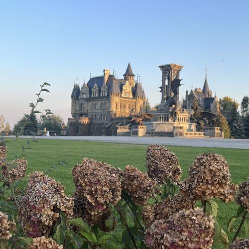 Photo #9776749