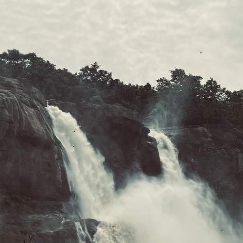 Photo #9776757