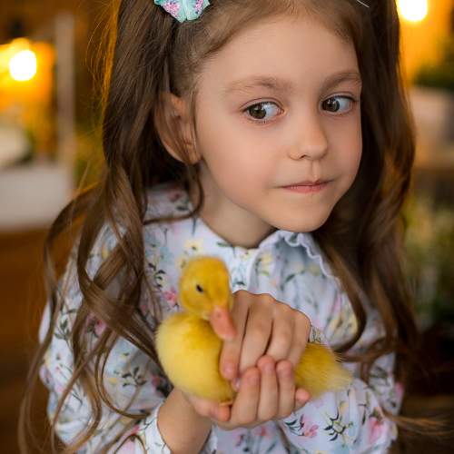 Photo #9776902