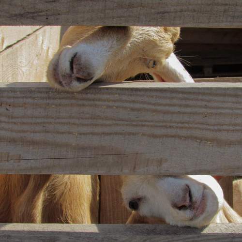 Photo #9777254