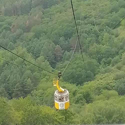 Photo #9777293