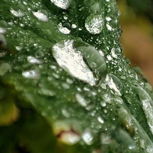 Photo #9777565