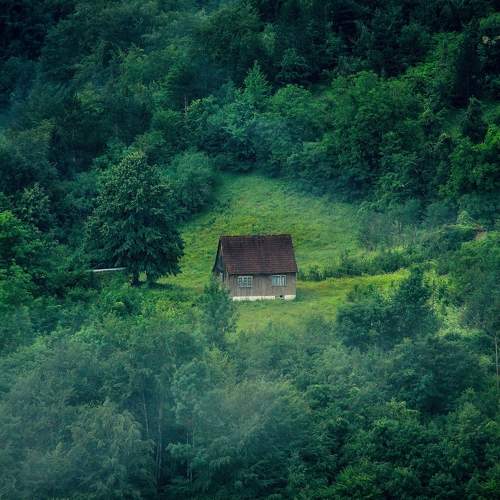 Photo #9777587