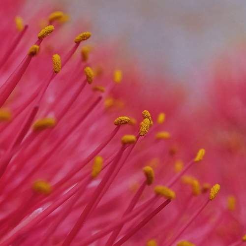 Photo #9777765
