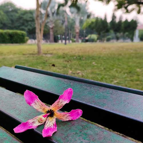 Photo #9777857