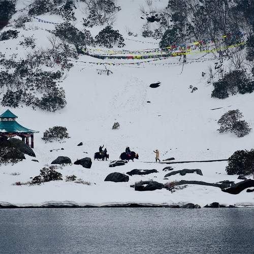 Photo #9777886