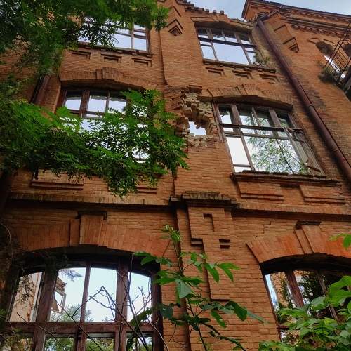 Photo #9778074