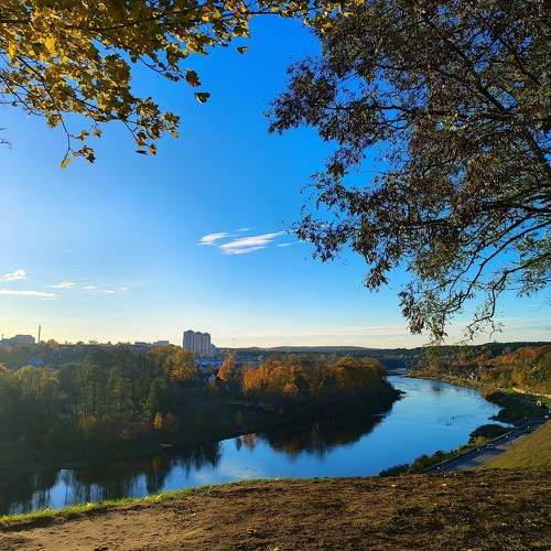 Photo #9778323