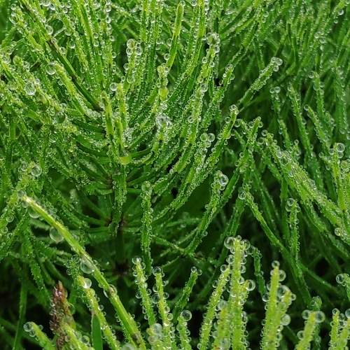 Photo #9778415
