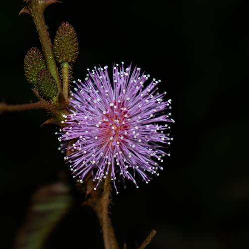 Photo #9778418