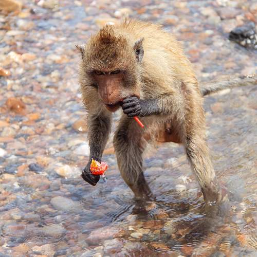 Photo #9778594