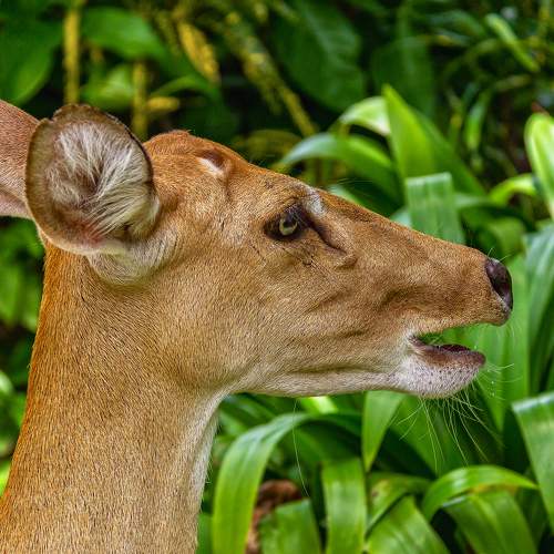 Photo #9778595