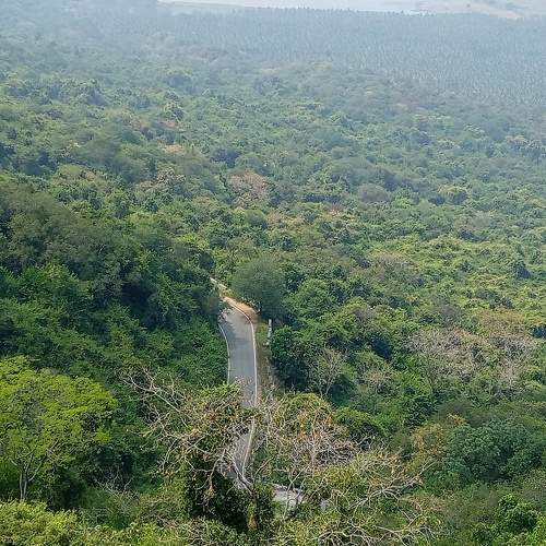 Photo #9778756