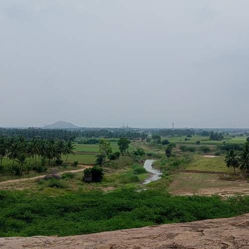 Photo #9778768