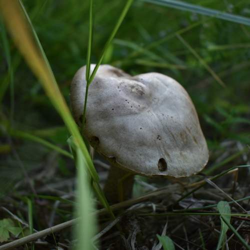 Photo #9778843