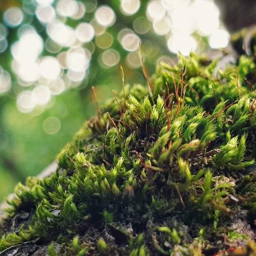 Photo #9778872