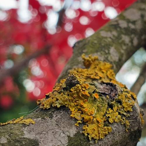 Photo #9778876
