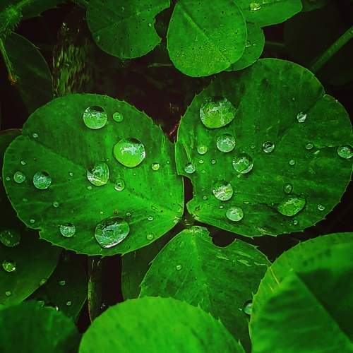 Photo #9778925