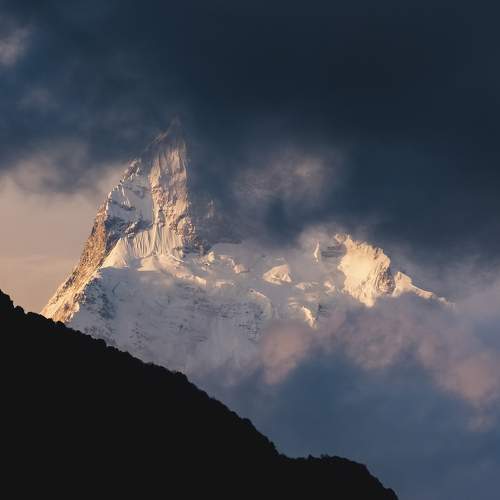 Photo #9779158