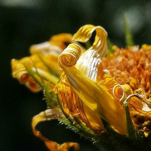 Photo #9779333