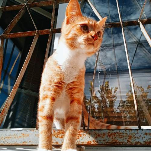 Photo #9779498