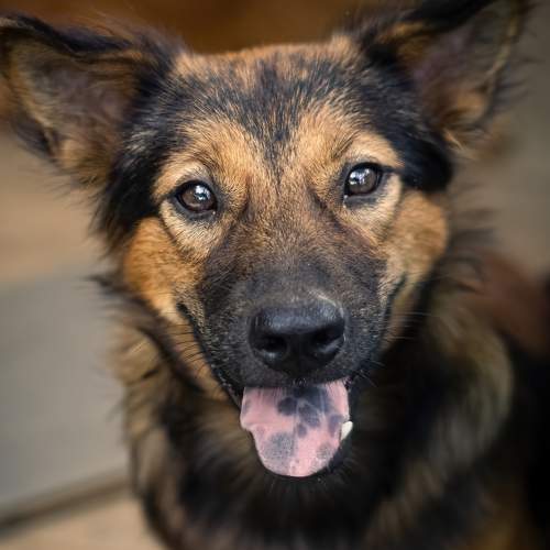 Photo #9779581