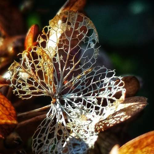 Photo #9779687