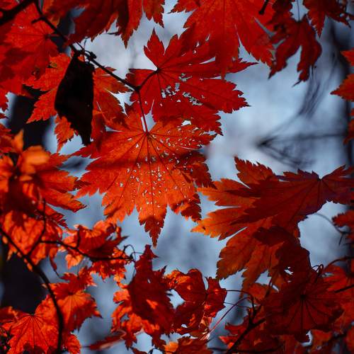 Photo #9779971