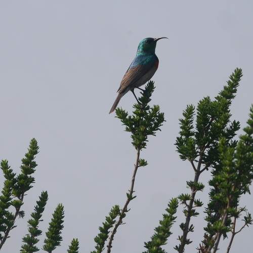 Photo #9780157