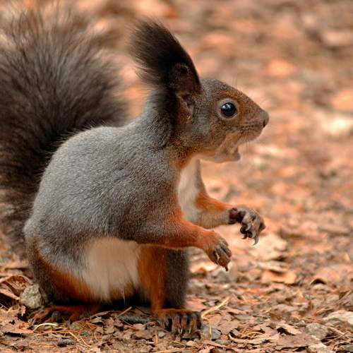 Photo #9780223