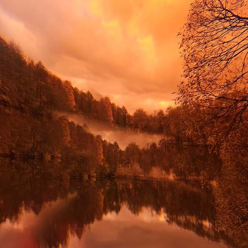 Photo #9780269