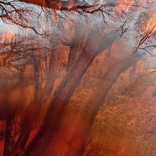 Autumn