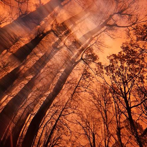 Photo #9780271