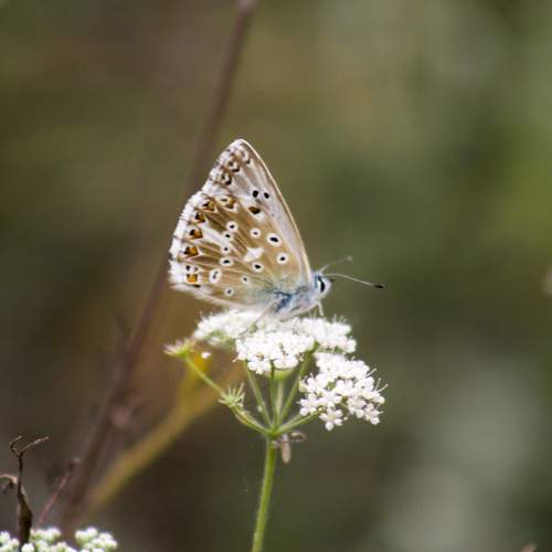 Photo #9780320