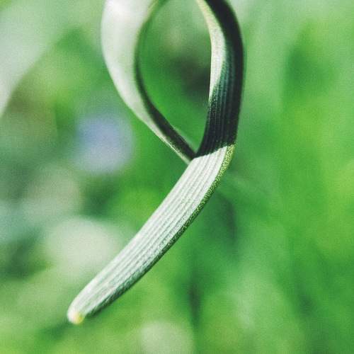 Photo #9780426