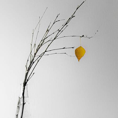 Фотография #9780601