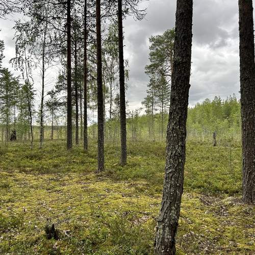 Photo #9780754