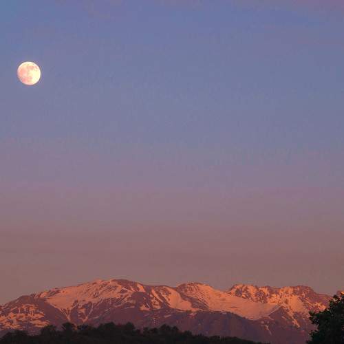 Photo #9781138