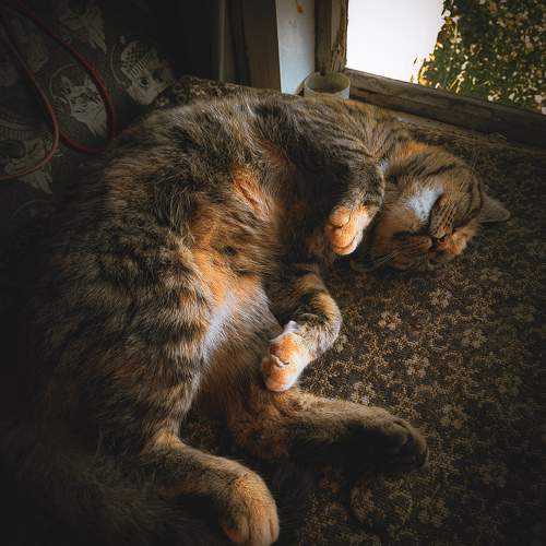 Photo #9781373