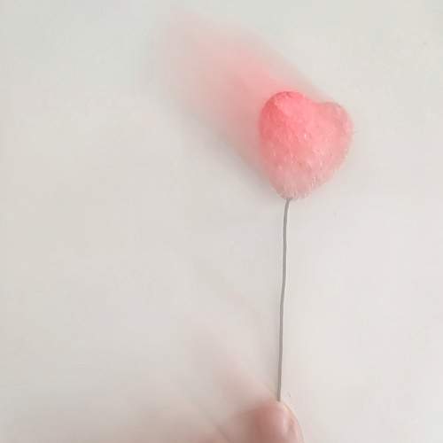 Photo #9781756
