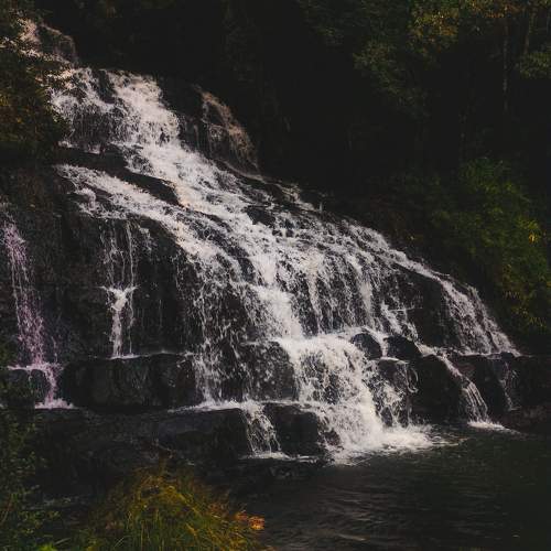 Photo #9781882